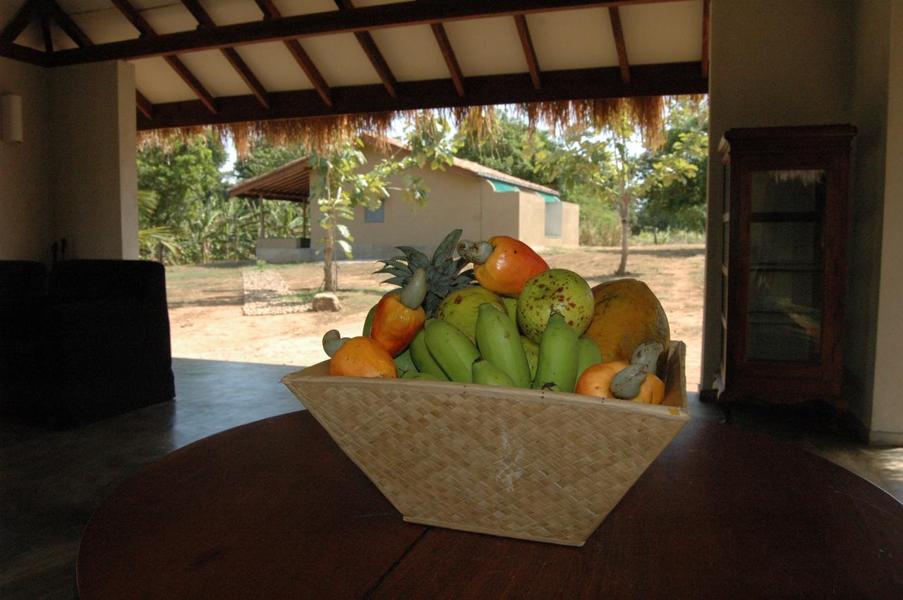 Villa Wildescape, Yala Blocks 3 & 5 Buttala Exterior foto